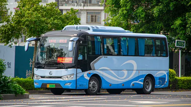 800BUS
