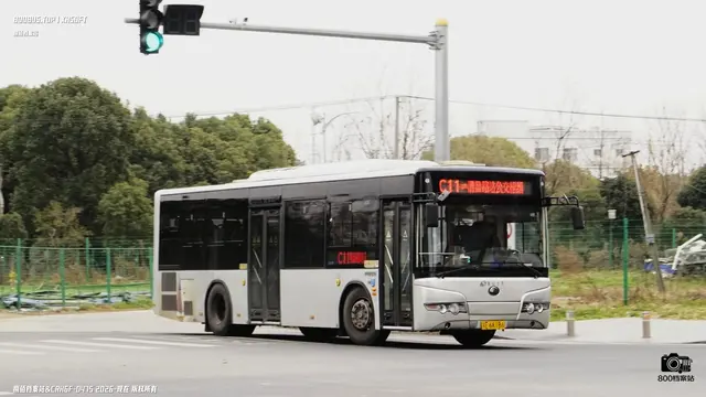 800BUS