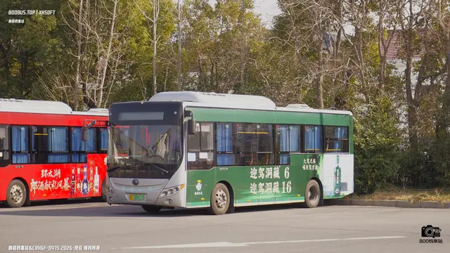 800BUS