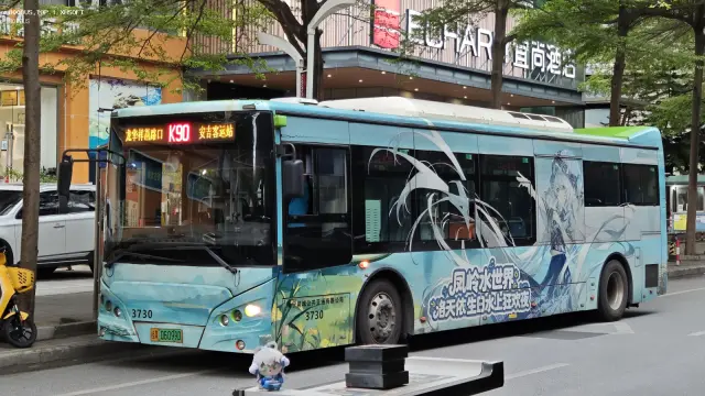 800BUS