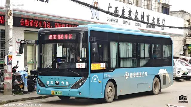 800BUS