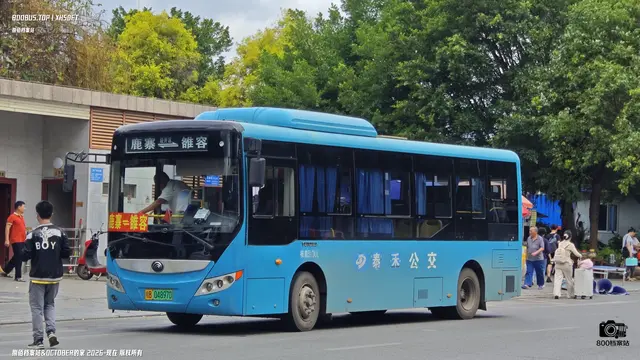 800BUS