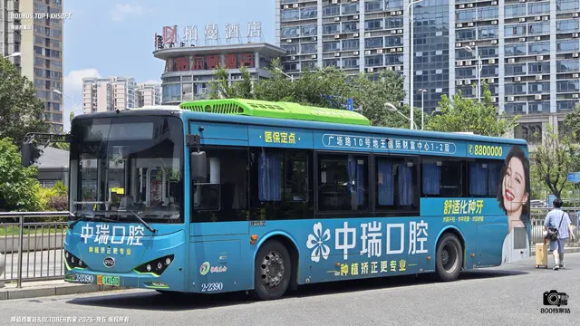 800BUS