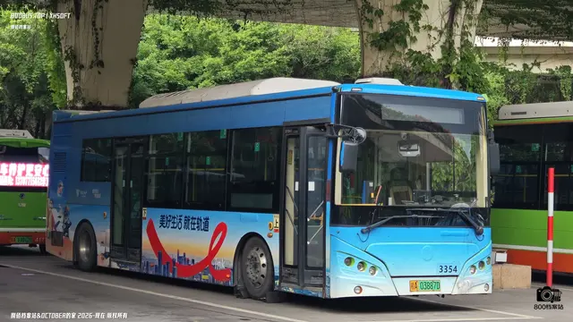800BUS