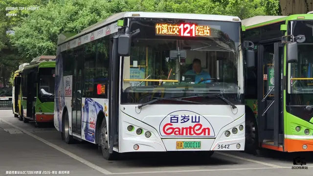 800BUS