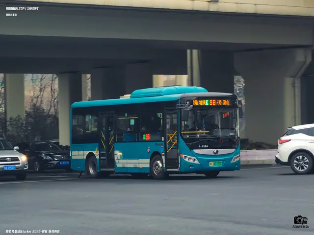 800BUS