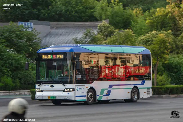 800BUS