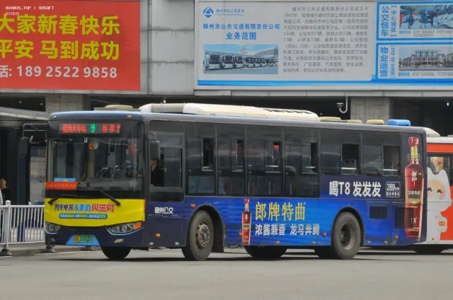 800BUS