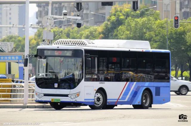 800BUS