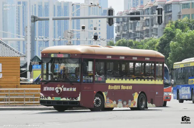800BUS