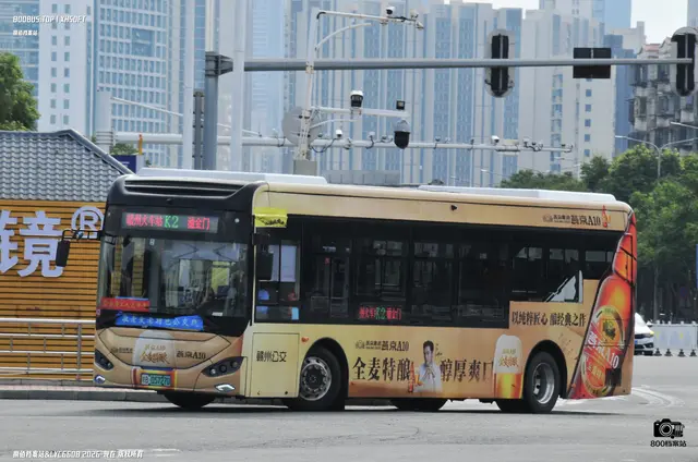 800BUS
