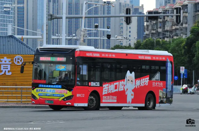 800BUS