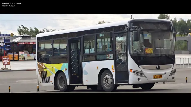 800BUS