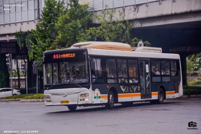 800BUS
