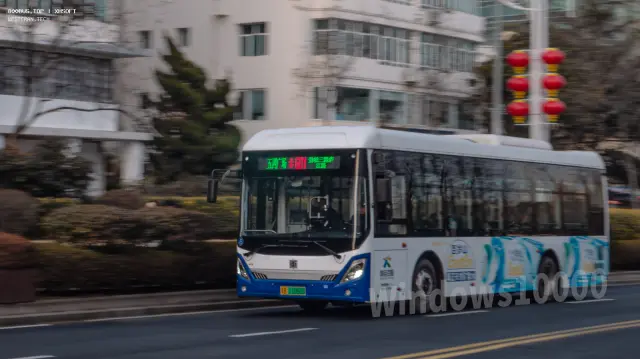 800BUS