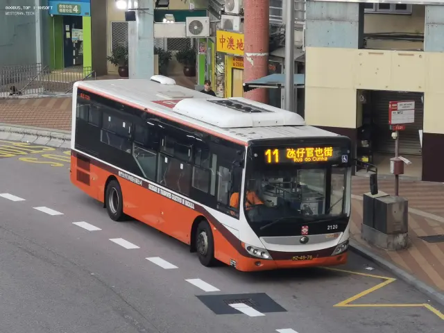 800BUS