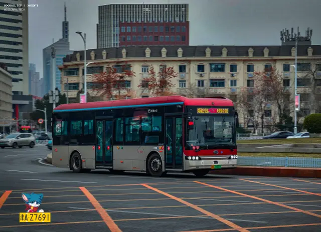 800BUS