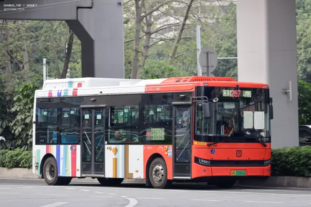 800BUS