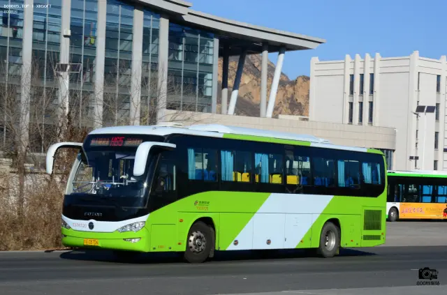 800BUS