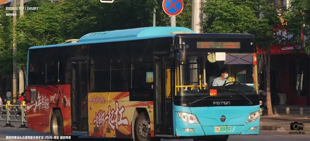 800BUS