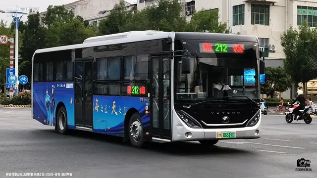 800BUS