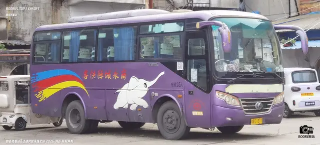 800BUS