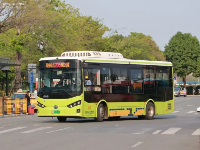 800BUS