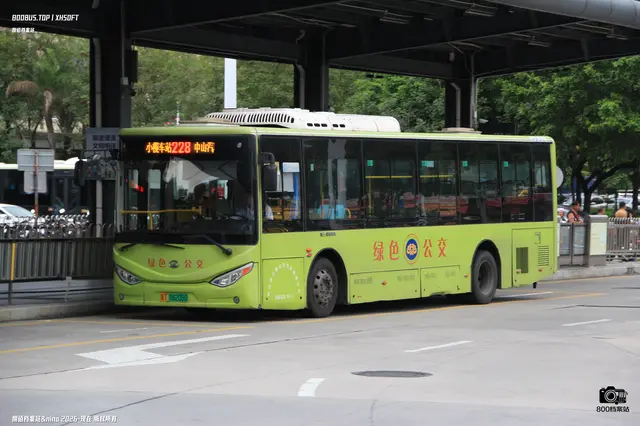 800BUS