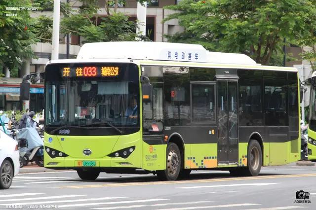 800BUS