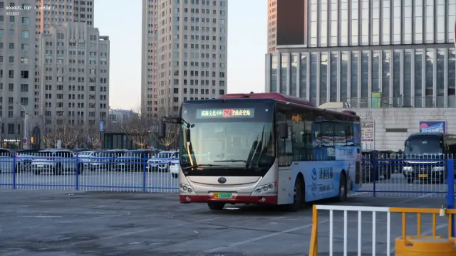800BUS