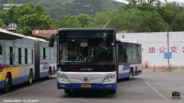 800BUS