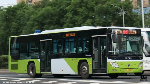 800BUS