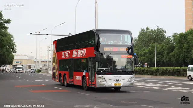 800BUS
