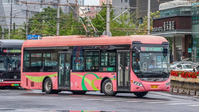 800BUS