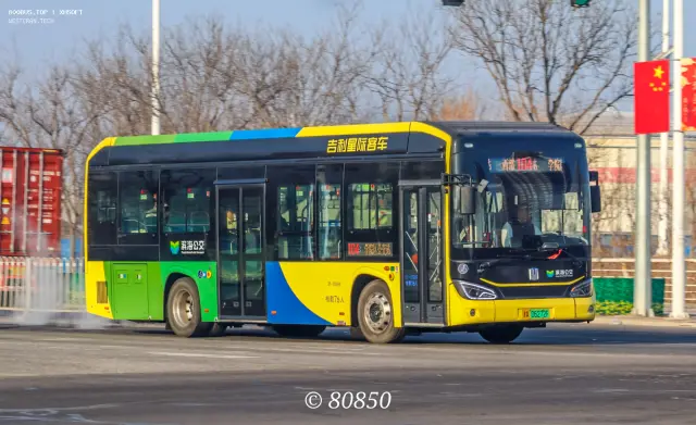 800BUS