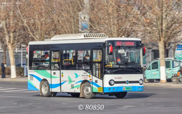 800BUS