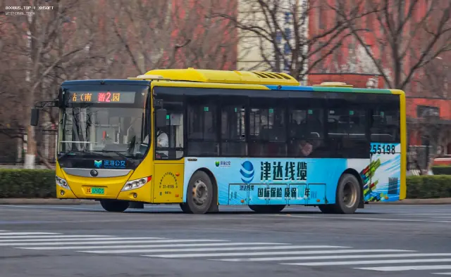 800BUS