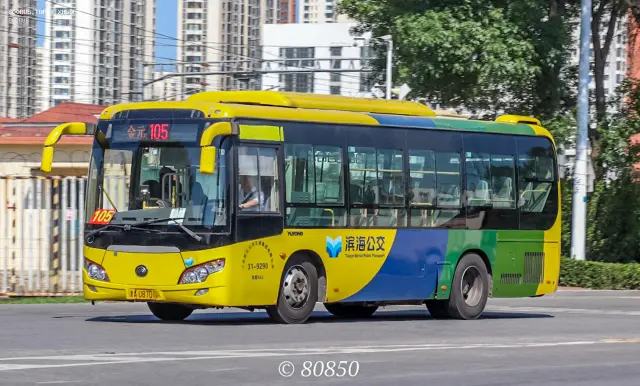 800BUS