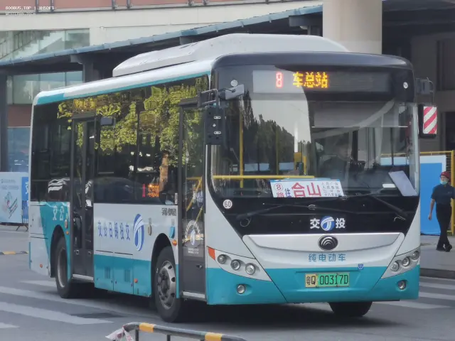 800BUS