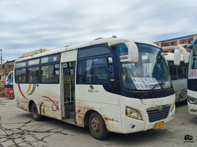 800BUS