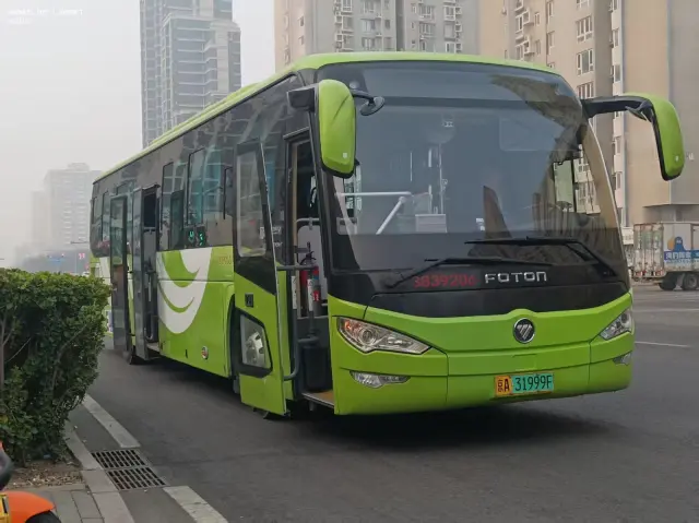 800BUS