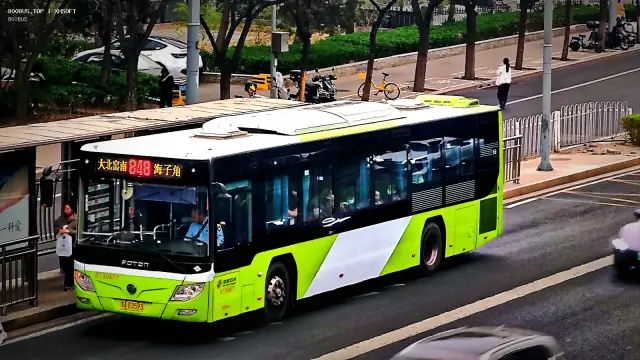 800BUS