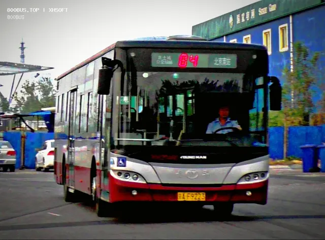 800BUS