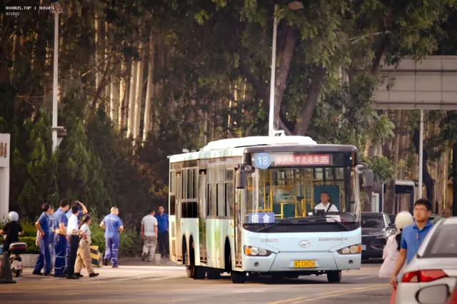 800BUS