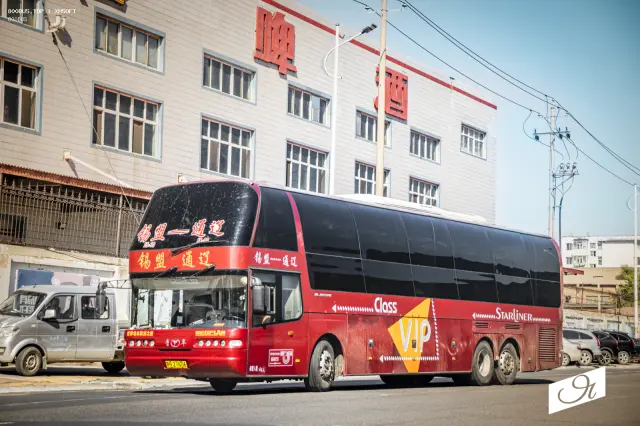 800BUS