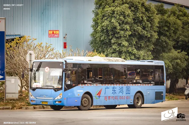 800BUS