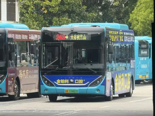 800BUS