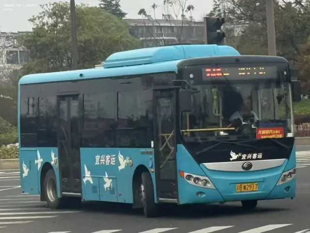 800BUS