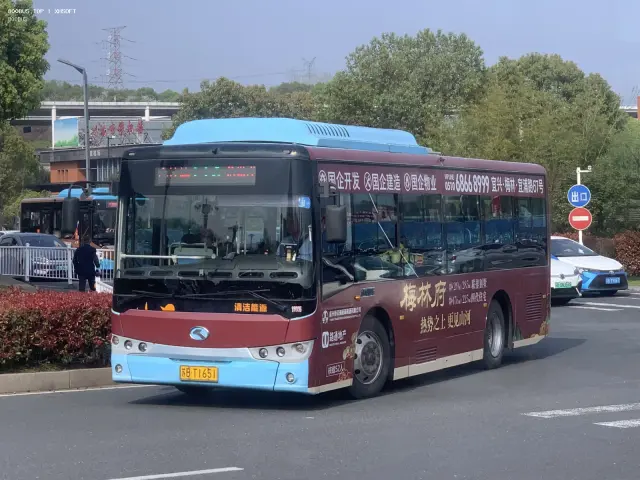 800BUS