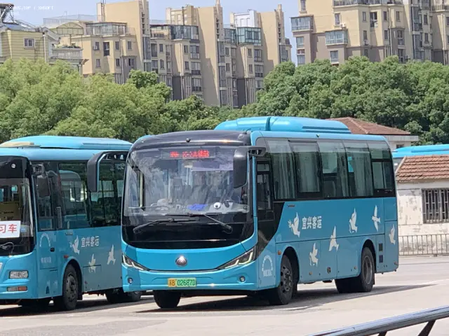 800BUS